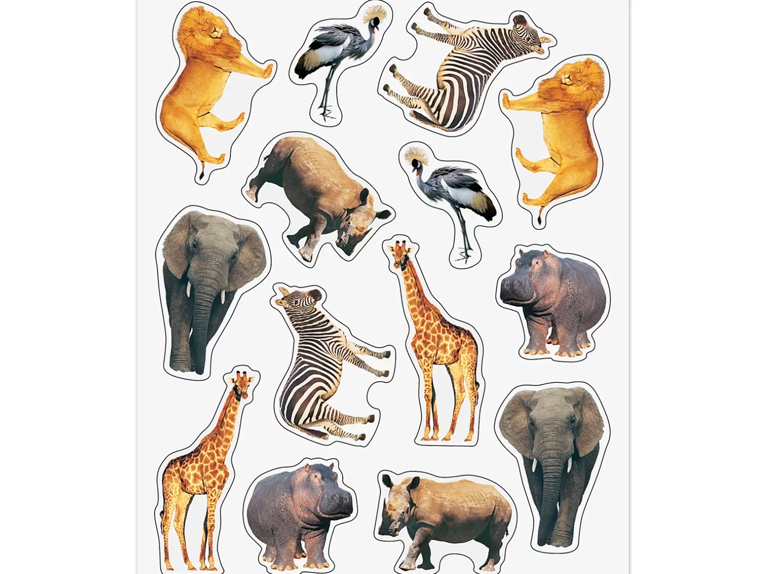 Wild Animal Photo Stickers