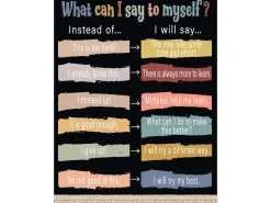 Wonderfully Wild What Can I Say to Myself Poster