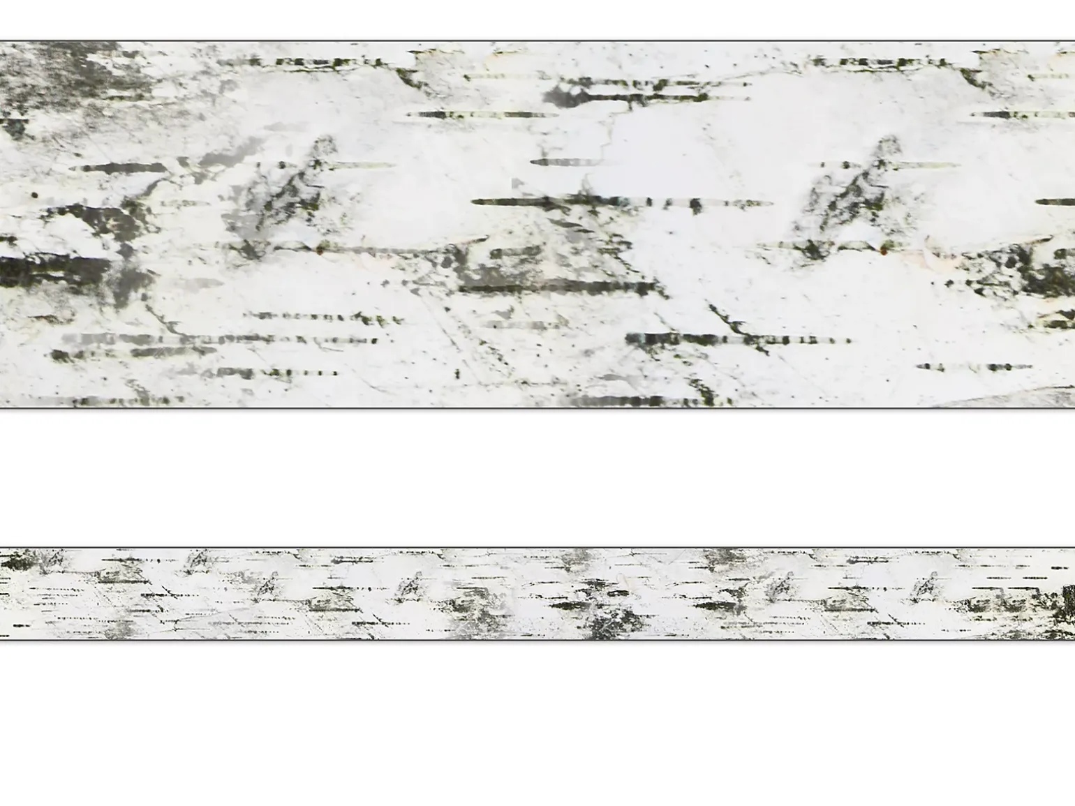 Woodland Whimsy Birch Tree Border