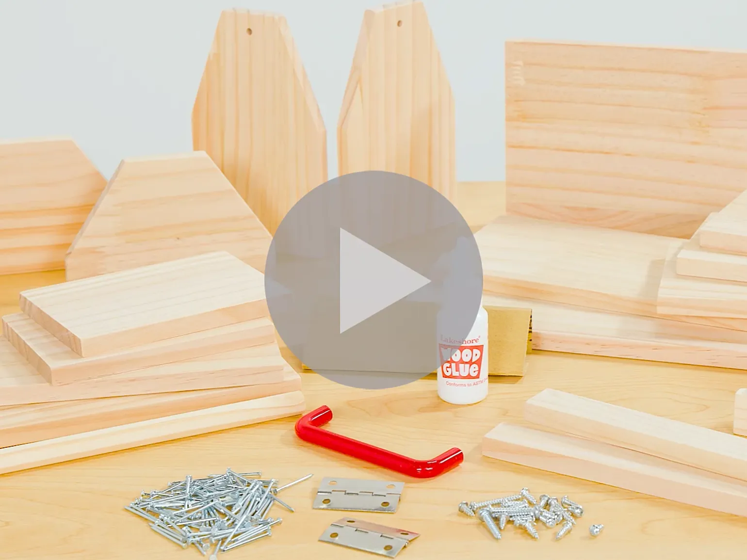 Young Woodworker’s Project Kit